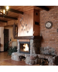 Obrázok pre Teplovodná krbová vložka AMELIA 15 s dochladzovacou špirálou